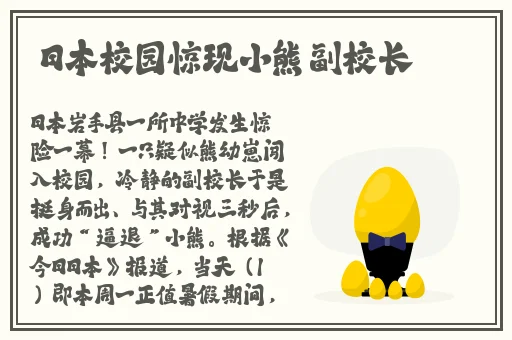 女孩玩具动画片有哪些